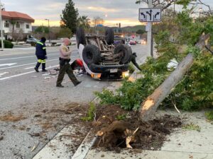 An overturned car blocks a traffic lane near the uprooted tree it struck during a crash in Santa Clarita.